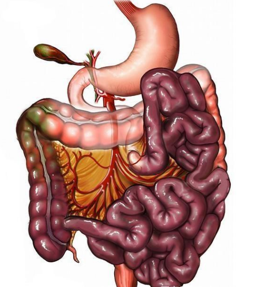 腸息肉者，排便出現3個(gè)異常，十有八九息肉已變成“癌”